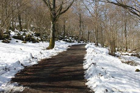 Días 2 y 3. Artajona - Puente de la Reina - Astitz - Lekumberri - San Sebastián - Olite