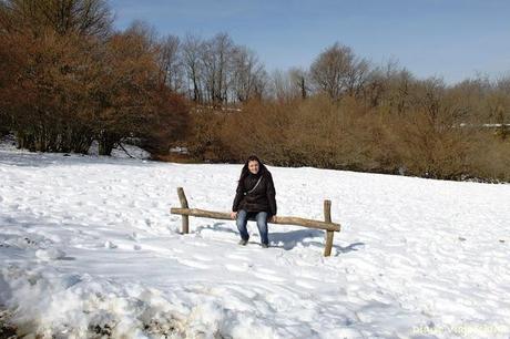 Días 2 y 3. Artajona - Puente de la Reina - Astitz - Lekumberri - San Sebastián - Olite
