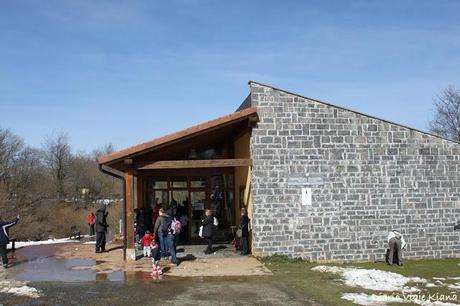 Días 2 y 3. Artajona - Puente de la Reina - Astitz - Lekumberri - San Sebastián - Olite