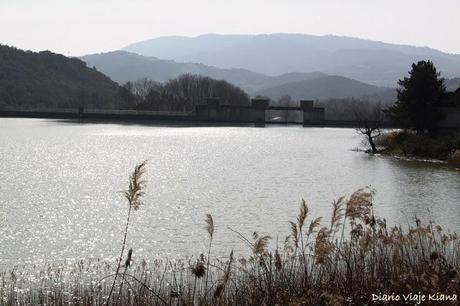 Días 2 y 3. Artajona - Puente de la Reina - Astitz - Lekumberri - San Sebastián - Olite