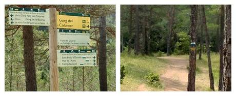 Torrent de la Cabana, Campdevànol