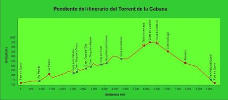 Torrent de la Cabana, Campdevànol