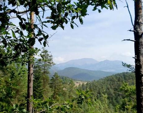 Torrent de la Cabana, Campdevànol