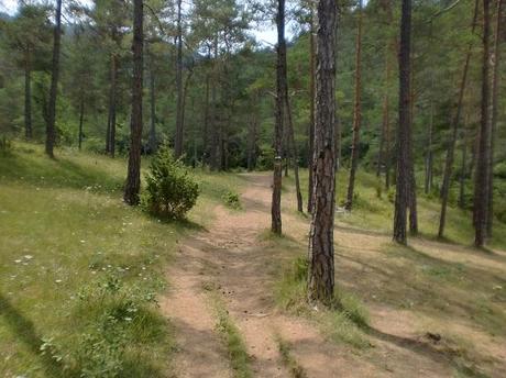 Torrent de la Cabana, Campdevànol