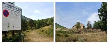 Torrent de la Cabana, Campdevànol
