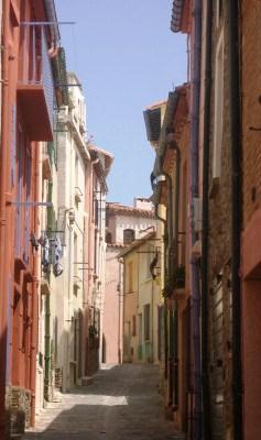 Colliure 2008