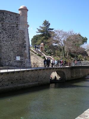Colliure 2008