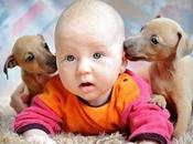 vídeos divertidos bebés