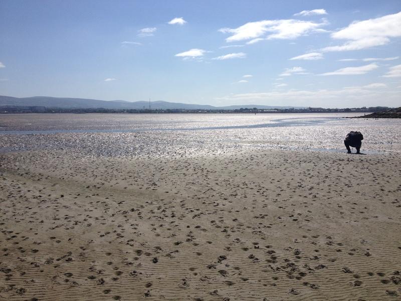 dublin beach