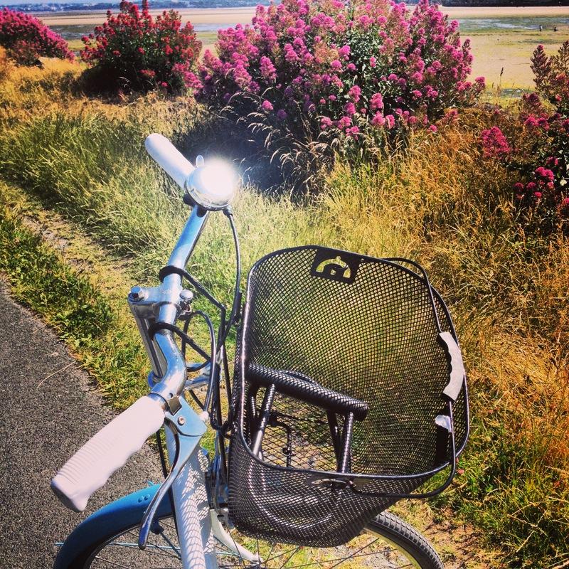 vintage bike blue