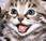 ¿Por gatos ronronean?