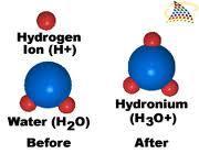 La Autoionización del agua ¿Qué es el agua?