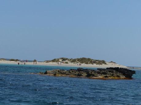 Un día de lujo: Paseo en barco en Ibiza con Ron Brugal