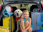 ¿Cómo cargar coche para viajar seguridad?