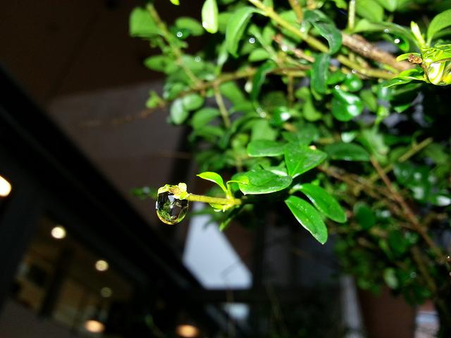 Androidografia Barakaldo 1424