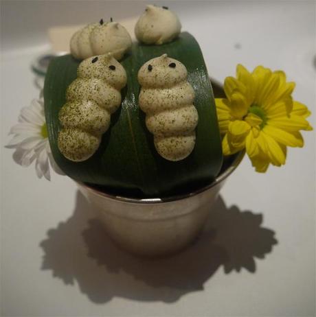 postre ticket mushmelow