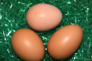 Una relación de amor-odio: huevo y Salmonella (II) | Huevo y riesgos sanitarios