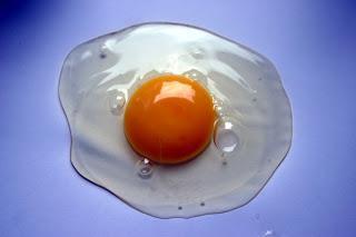 Una relación de amor-odio: huevo y Salmonella (II) | Huevo y riesgos sanitarios