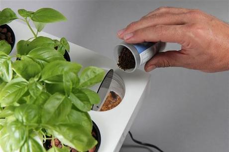 Aquafarm :: pecera y macetero todo en uno Aquafarm :: pecera y macetero todo en uno