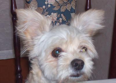 CADA DÍA TE RECORDAREMOS, BOLI