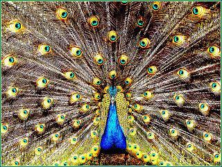 Visual Marketing: Nuevas Formas de Captar al Cliente