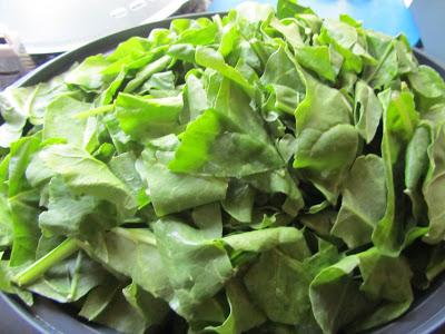 Acelgas (o espinacas) a la bechamel