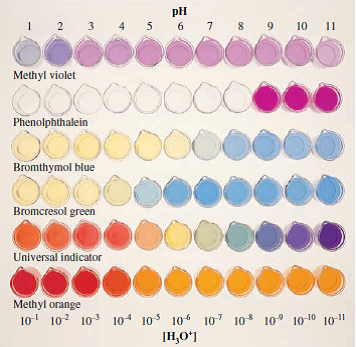 ¿Cómo determinar el pH de una solución? ¿Cómo determinar el pH de una solución?