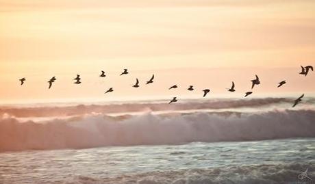 welcome :) | via Tumblr