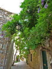 Un rincón en l’Empordà