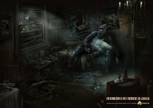 CANNES A3 FAADA KONG ESP baixa