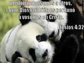 dificultad perdonar