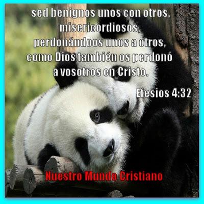 La dificultad de perdonar