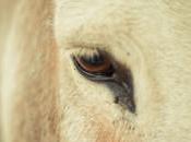 historia para digerir mejor críticas