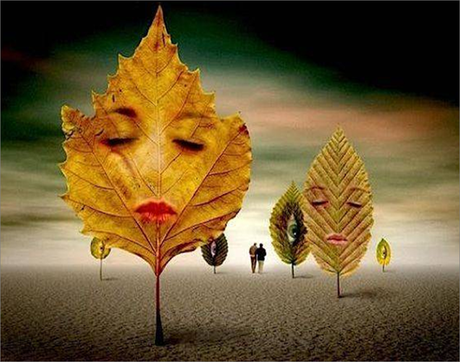 Neuromanagement: Entrenar el Cerebro Emocional para Decidir Mejor