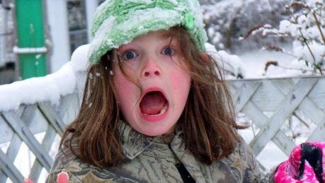 Neuromanagement: Entrenar el Cerebro Emocional para Decidir Mejor Neuromanagement: Entrenar el Cerebro Emocional para Decidir Mejor