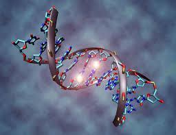 Las Tecnologías Disruptivas del Futuro