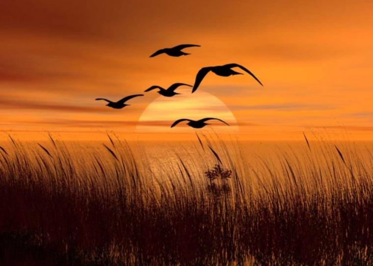 El Sentido de Trascendencia