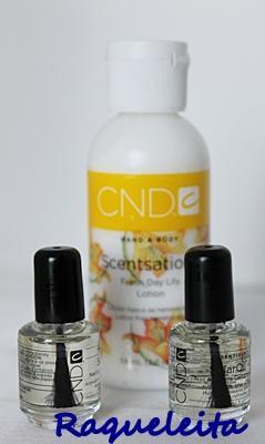 Beauty Party El Jardín De Fortuny