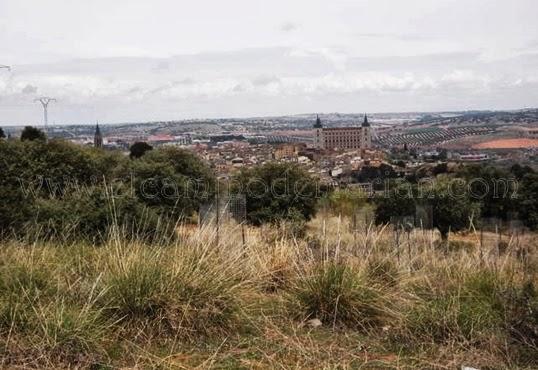 Leyenda de Toledo, Alfonso VI y el Palacio de Galiana