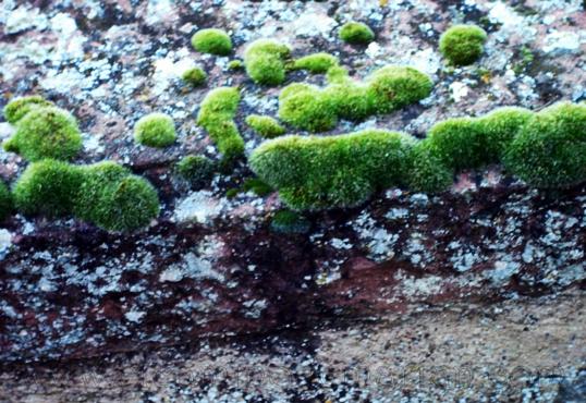 El sendero fluvial, una ruta del agua en Albarracín