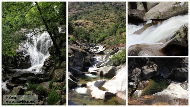 Cocinar con las picotas del Jerte: recorrido por la gastronomía del Valle
