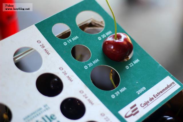 Cocinar con las picotas del Jerte: recorrido por la gastronomía del Valle