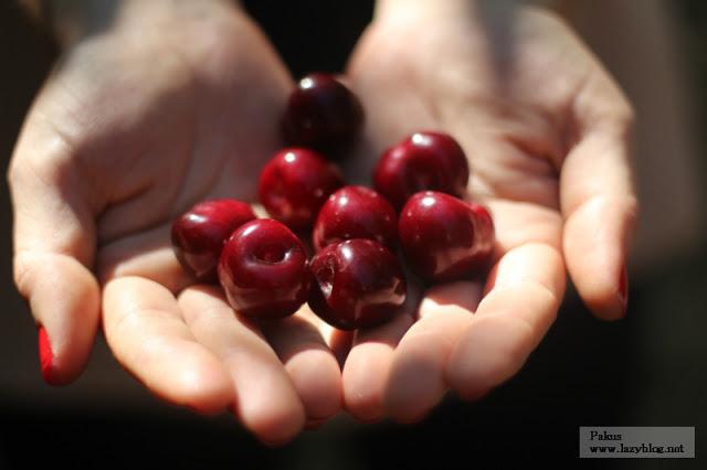 Cocinar con las picotas del Jerte: recorrido por la gastronomía del Valle