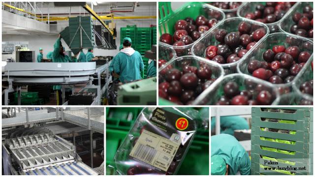 Cocinar con las picotas del Jerte: recorrido por la gastronomía del Valle