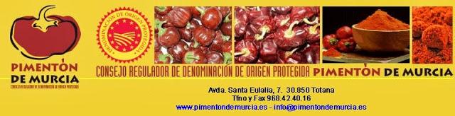 Paprikas (estofado) de pavo y Salsa de yogur con pimienta roja - Paprikas de  curcan si Sos de iaurt cu piper rosu