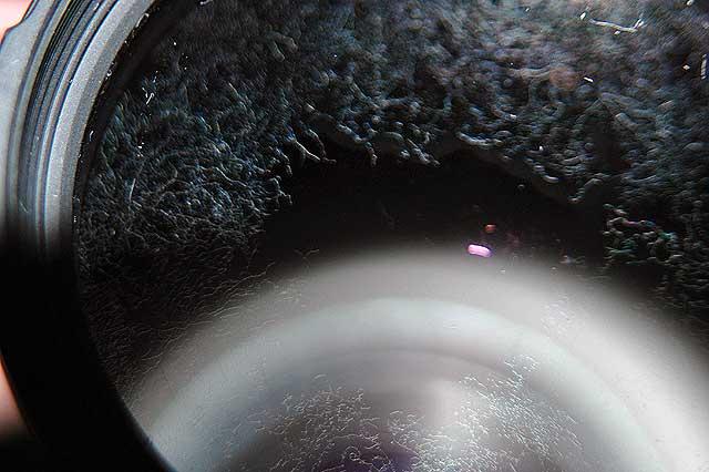 Capítulo 2 - Comprando una cámara - Parte 5