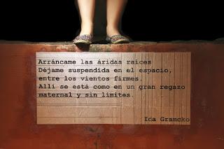 poesía, poesía para llevar, ida, gramcko, poesía en la calle