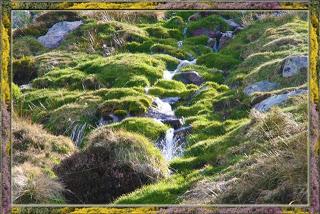 Ese eterno proyecto de San Glorio