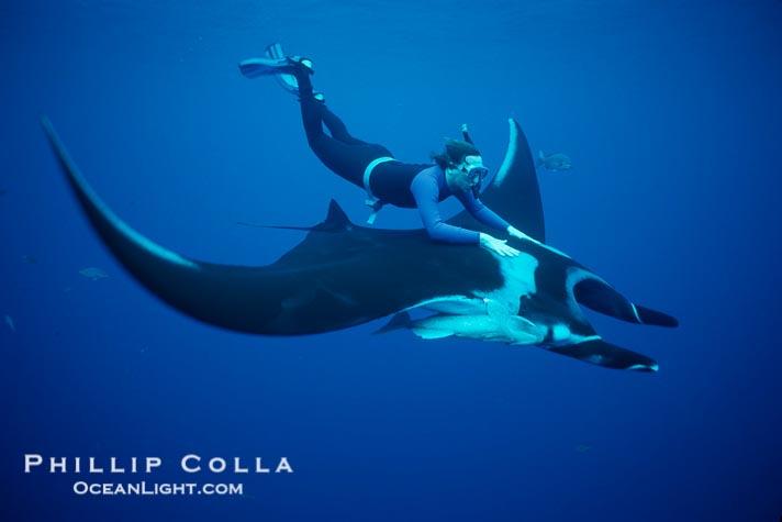 VOLANDO SOBRE EL MAR