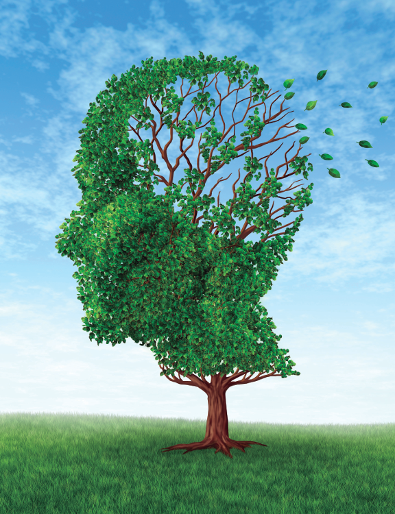 prevenir el alzheimer de forma natural